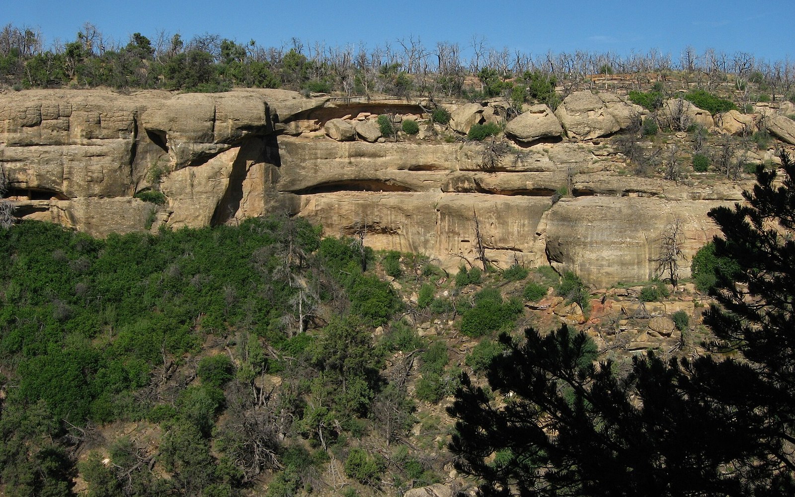 Cliff Canyon from the overlook. The dwelling occupies one south-facing sandstone alcove.